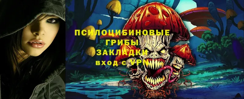 Галлюциногенные грибы Magic Shrooms  Новопавловск 